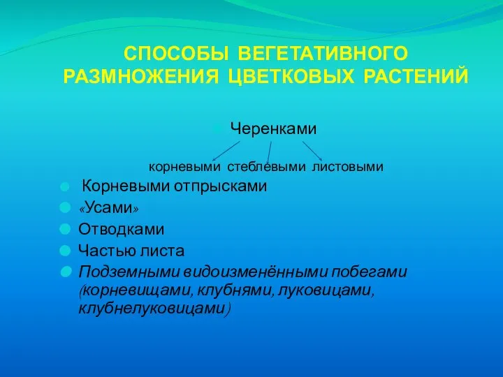 СПОСОБЫ ВЕГЕТАТИВНОГО РАЗМНОЖЕНИЯ ЦВЕТКОВЫХ РАСТЕНИЙ Черенками корневыми стеблевыми листовыми Корневыми отпрысками «Усами»