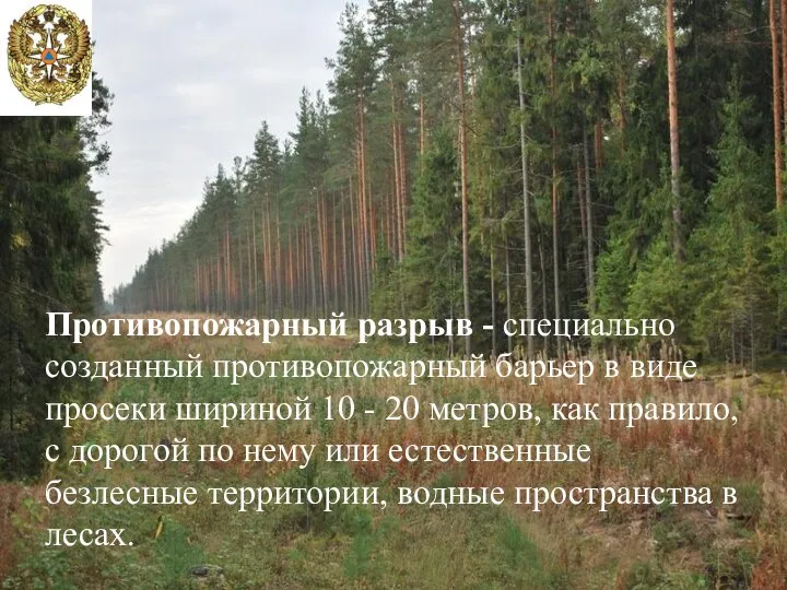 Противопожарный разрыв - специально созданный противопожарный барьер в виде просеки шириной 10