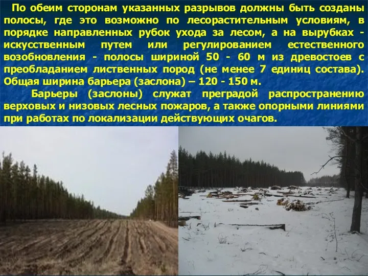 По обеим сторонам указанных разрывов должны быть созданы полосы, где это возможно