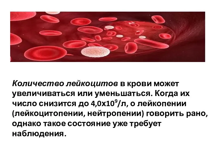 Количество лейкоцитов в крови может увеличиваться или уменьшаться. Когда их число снизится