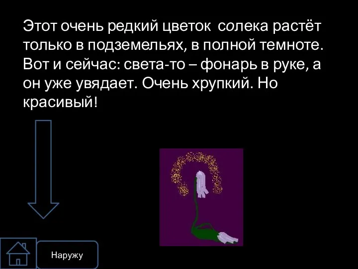 Наружу Этот очень редкий цветок солека растёт только в подземельях, в полной