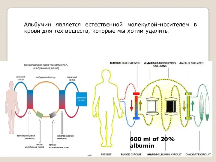 Экстракорпоральный контур системы MARS. 600 ml of 20% albumin Альбумин является естественной