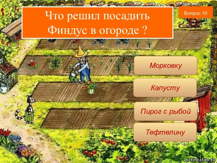 Вопрос 10 Тефтелину Морковку Пирог с рыбой Капусту Что решил посадить Финдус в огороде ?