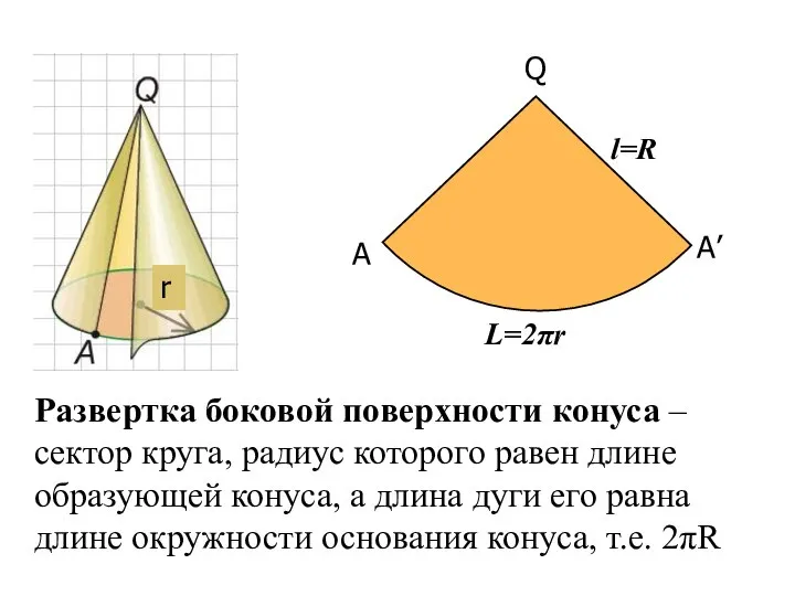 Развертка боковой поверхности конуса – сектор круга, радиус которого равен длине образующей