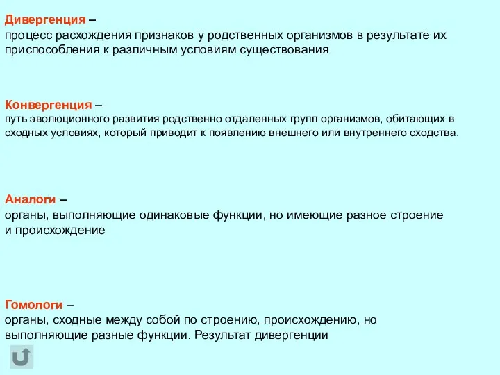 Дивергенция – процесс расхождения признаков у родственных организмов в результате их приспособления