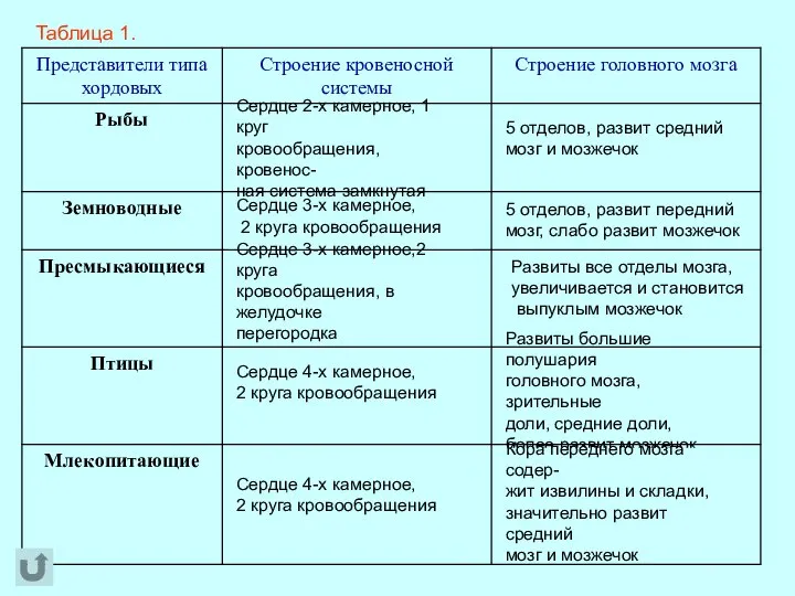 Таблица 1. Сердце 2-х камерное, 1 круг кровообращения, кровенос- ная система замкнутая