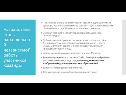 Разработаны этапы параллельной независимой работы участников команды Подготовка списка анатомический терминов для