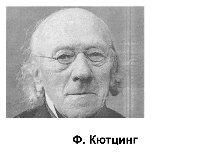 Ф. Кютцинг