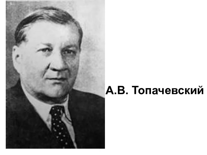 А.В. Топачевский
