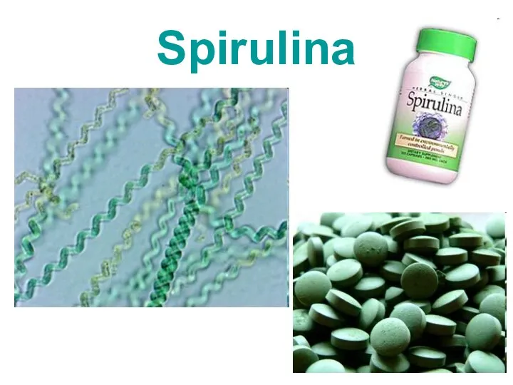 Spirulina