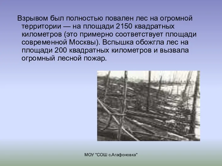 МОУ "СОШ с.Агафоновка" Взрывом был полностью повален лес на огромной территории —