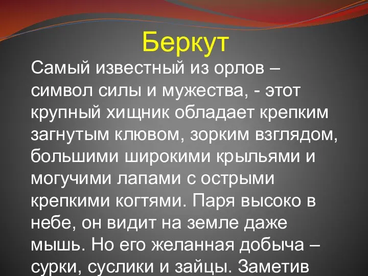 Беркут Самый известный из орлов – символ силы и мужества, - этот