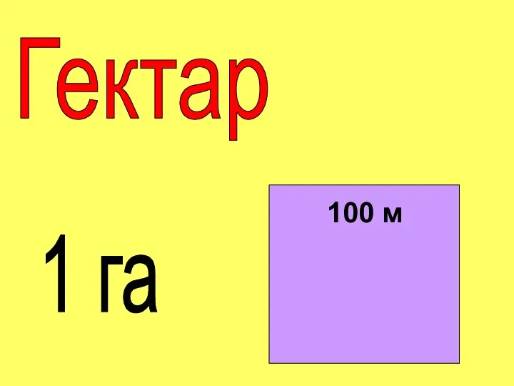 Гектар 1 га 100 м