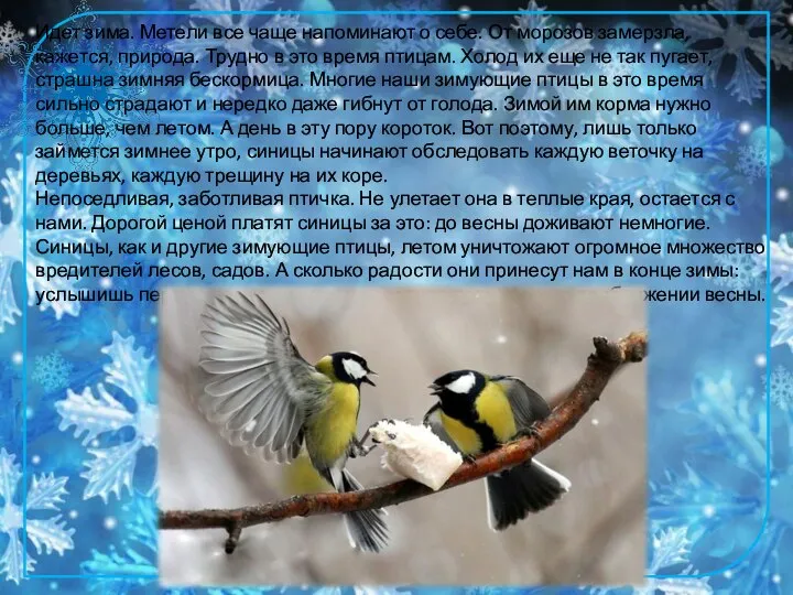 Идет зима. Метели все чаще напоминают о себе. От морозов замерзла, кажется,