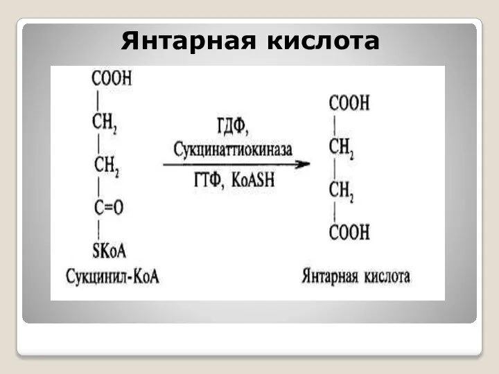 Янтарная кислота