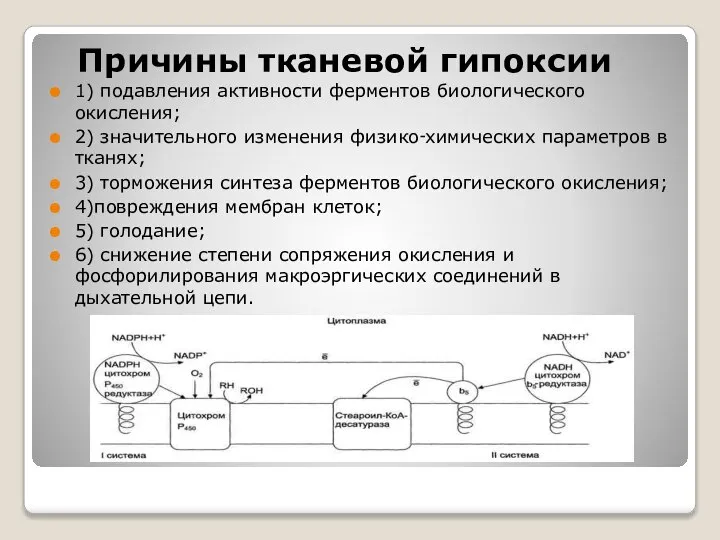 Причины тканевой гипоксии 1) подавления активности ферментов биологического окисления; 2) значительного изменения