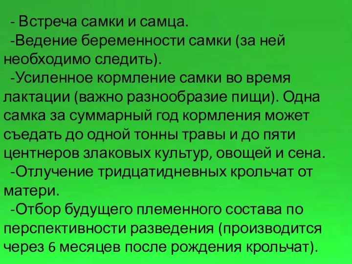 - Встреча самки и самца. -Ведение беременности самки (за ней необходимо следить).