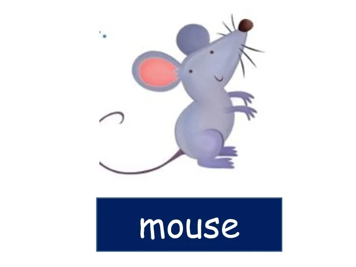 mouse