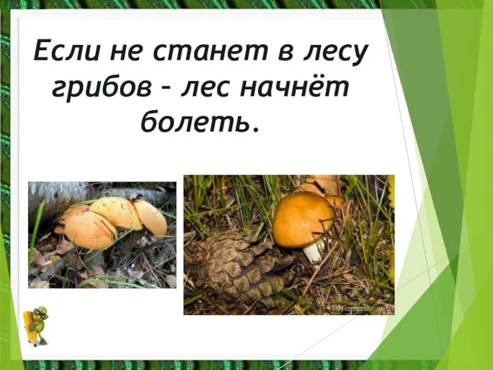 Если не станет в лесу грибов – лес начнёт болеть.