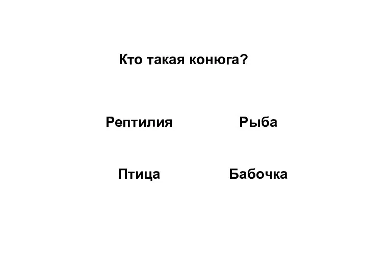 Кто такая конюга?