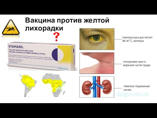 Вакцина против желтой лихорадки