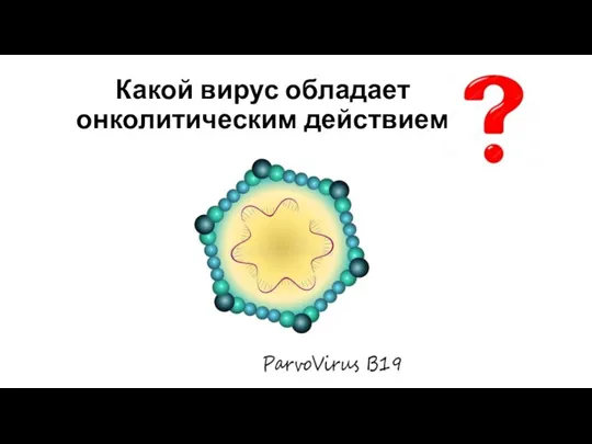 Какой вирус обладает онколитическим действием