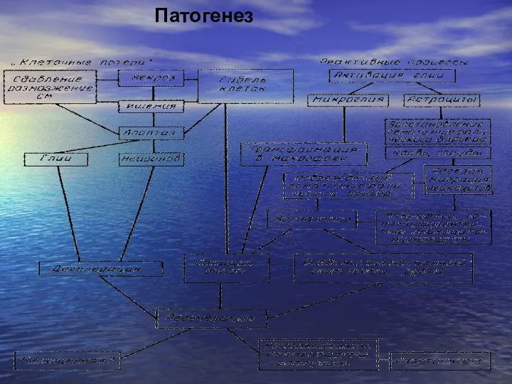 Патогенез