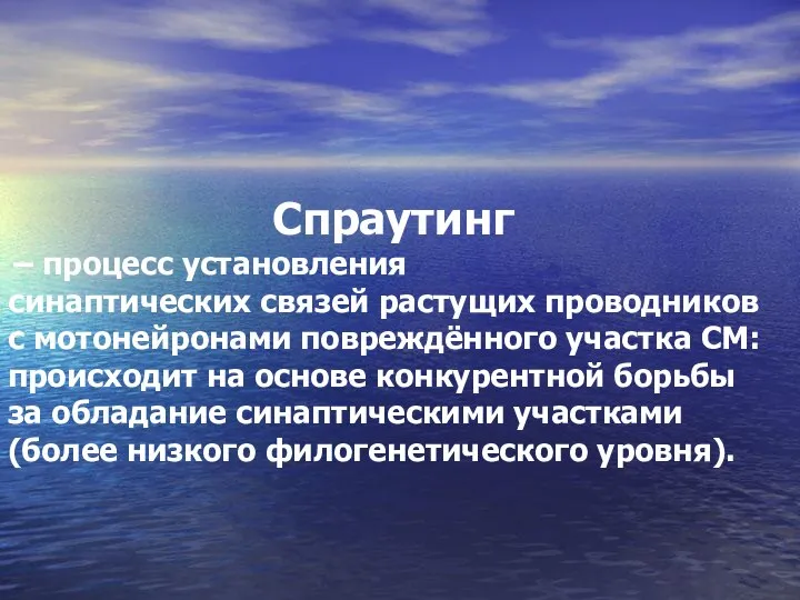 Спраутинг – процесс установления синаптических связей растущих проводников с мотонейронами повреждённого участка