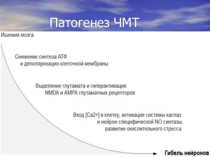 черепно-мозговая травма черепно-мозговая травма Патогенез ЧМТ