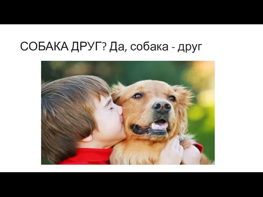 СОБАКА ДРУГ? Да, собака - друг