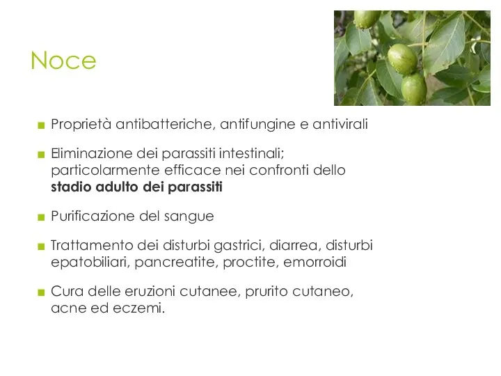 Noce Proprietà antibatteriche, antifungine e antivirali Eliminazione dei parassiti intestinali; particolarmente efficace