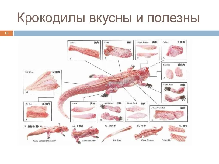 Крокодилы вкусны и полезны