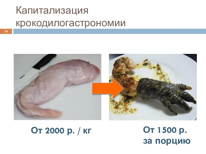 Капитализация крокодилогастрономии От 2000 р. / кг От 1500 р. за порцию