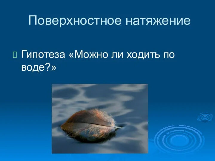 Поверхностное натяжение Гипотеза «Можно ли ходить по воде?»