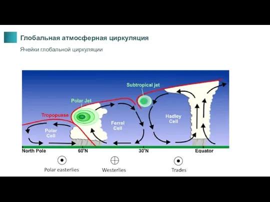 Глобальная атмосферная циркуляция Ячейки глобальной циркуляции Polar easterlies Westerlies Trades