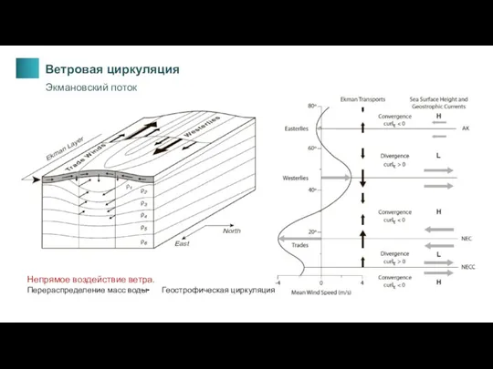 Экмановский поток Ветровая циркуляция Непрямое воздействие ветра. Перераспределение масс воды Геострофическая циркуляция