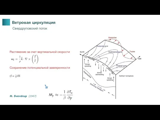 Ветровая циркуляция Свердруповский поток (f + ζ)/H Сохранение потенциальной завихренности Растяжение за