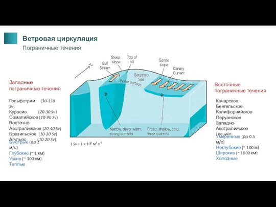 Гольфстрим (30-150 Sv) Куросио (20-30 Sv) Сомалийское (10-90 Sv) Восточно-Австралийское (20-40 Sv)