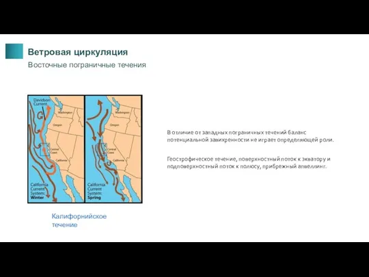 Ветровая циркуляция Восточные пограничные течения В отличие от западных пограничных течений баланс