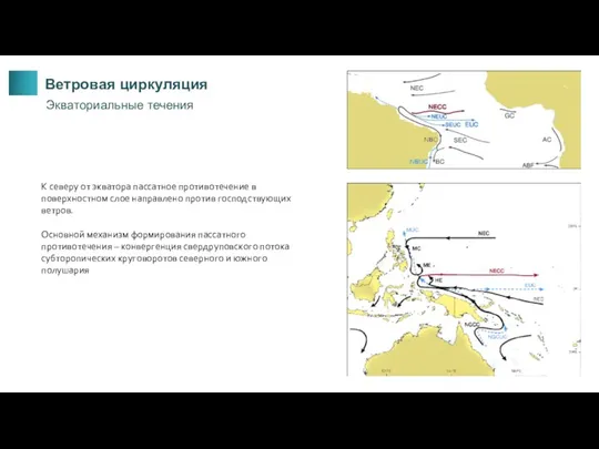 Ветровая циркуляция Экваториальные течения К северу от экватора пассатное противотечение в поверхностном