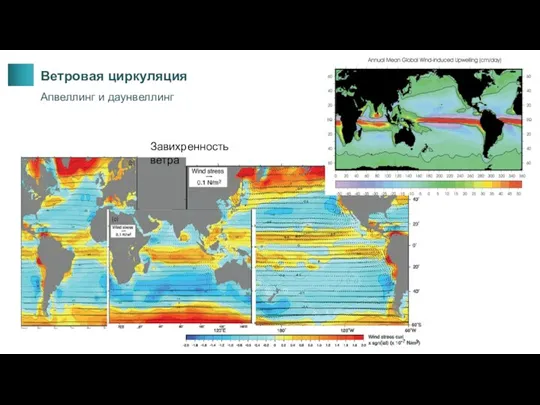 Ветровая циркуляция Апвеллинг и даунвеллинг Завихренность ветра