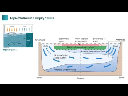 Термохалинная циркуляция Wyrtki (1961)