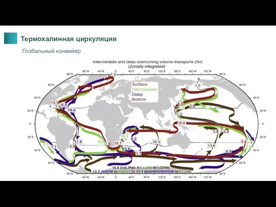 Термохалинная циркуляция Глобальный конвейер