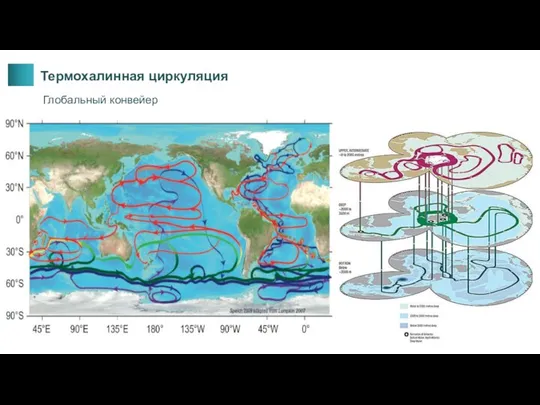 Термохалинная циркуляция Глобальный конвейер