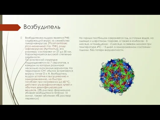 Возбудитель Возбудителем ящура является РНК-содержащий вирус из семейства пикорнавирусов, (Picornaviridae: pico-маленький rna-