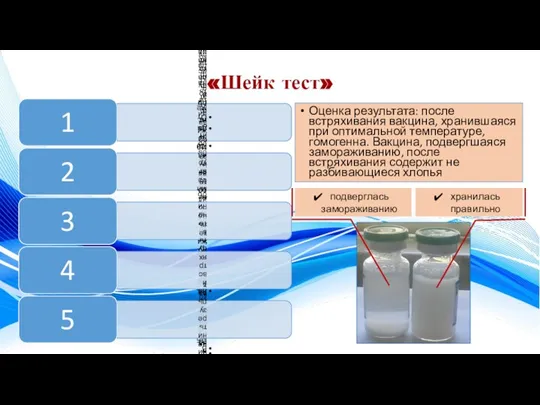 «Шейк тест» Оценка результата: после встряхивания вакцина, хранившаяся при оптимальной температуре, гомогенна.