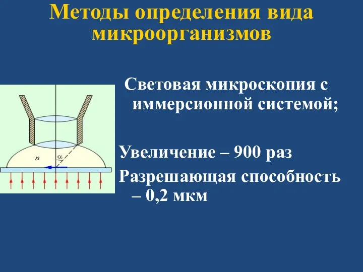 Методы определения вида микроорганизмов Световая микроскопия с иммерсионной системой; Увеличение – 900