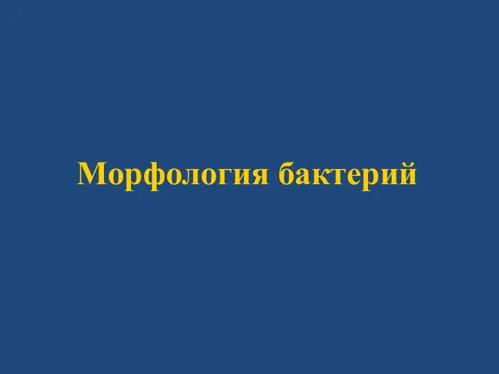 Морфология бактерий