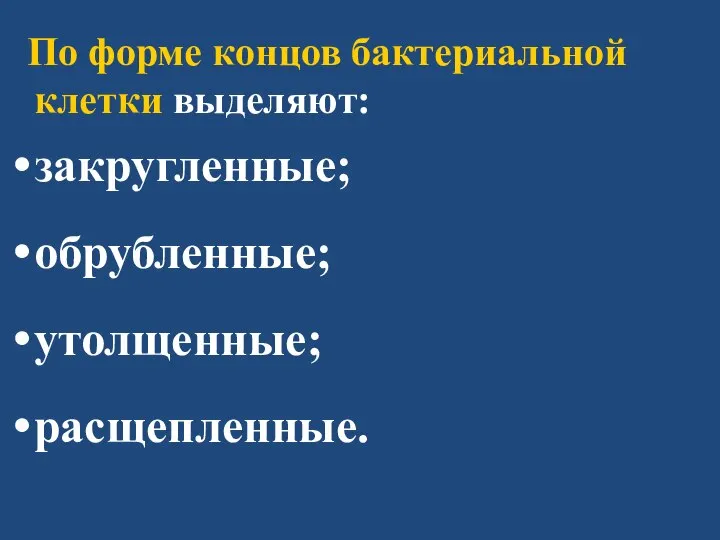 По форме концов бактериальной клетки выделяют: закругленные; обрубленные; утолщенные; расщепленные.