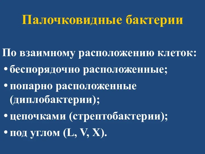 Палочковидные бактерии По взаимному расположению клеток: беспорядочно расположенные; попарно расположенные (диплобактерии); цепочками